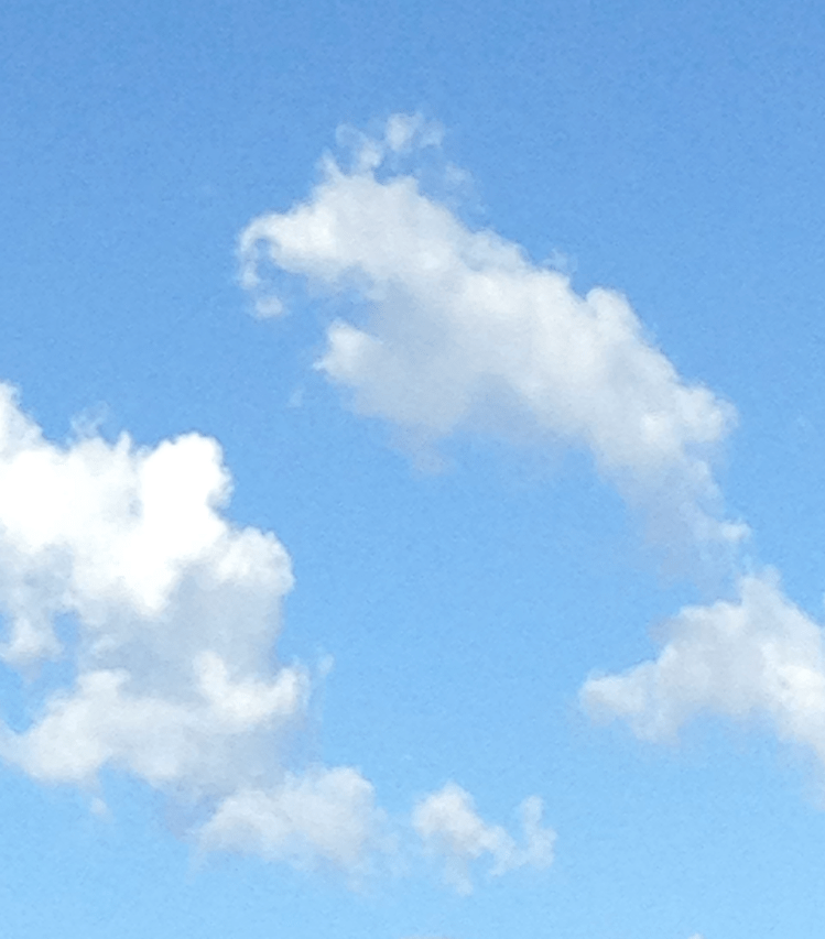 Screen Shot 2018-02-26 at 6.25.59 PM