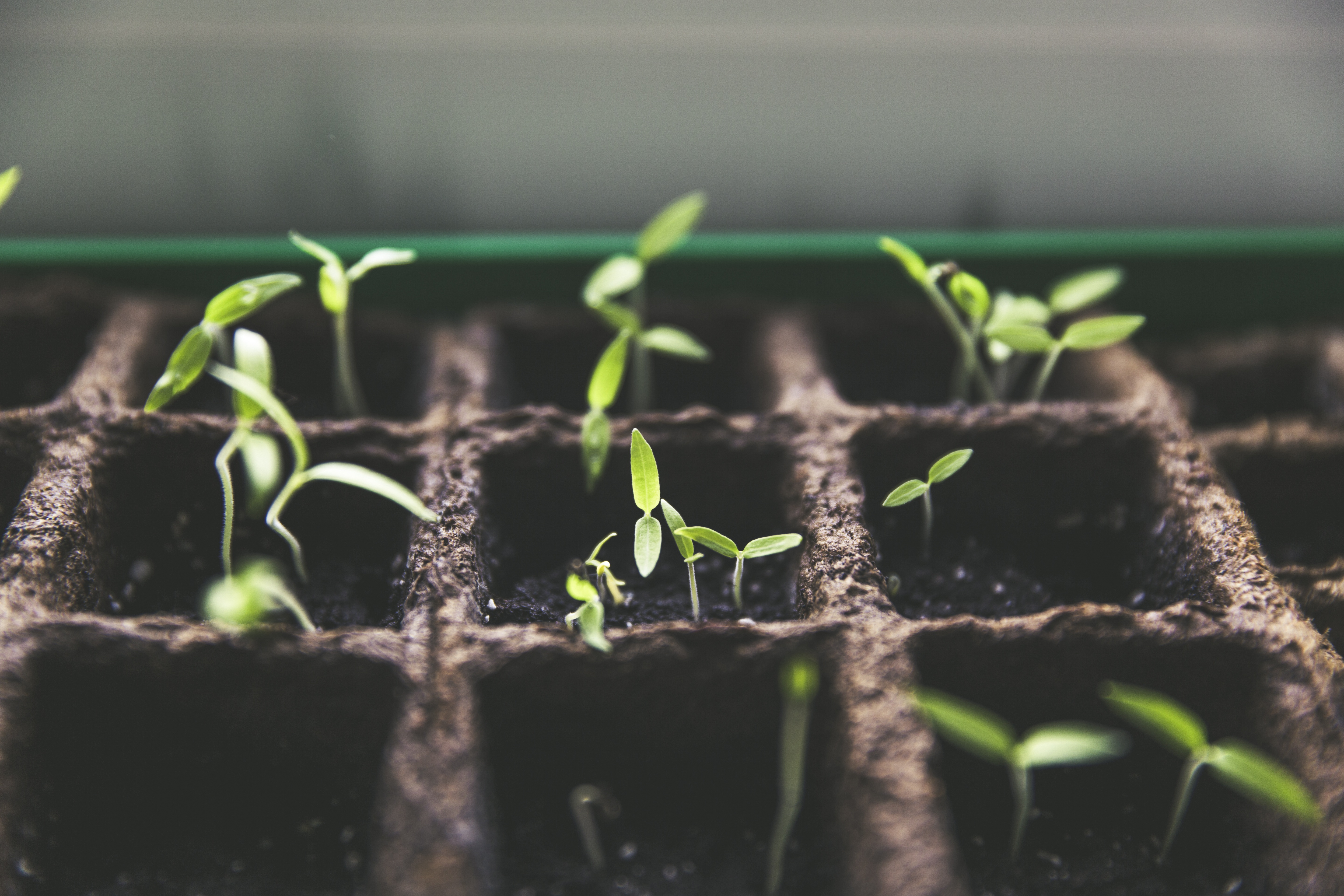 How to nurture self-growth